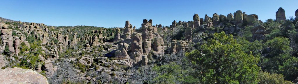 A Few Surprises In The Chiricahua Mountains Make Like An Ape Man