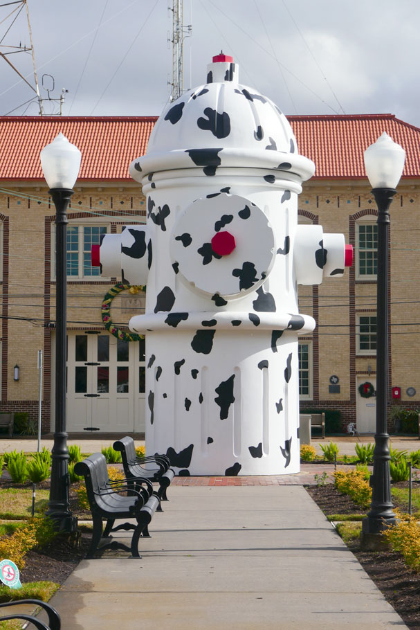 Texas Gulf Coast Museums Make Like An Ape Man